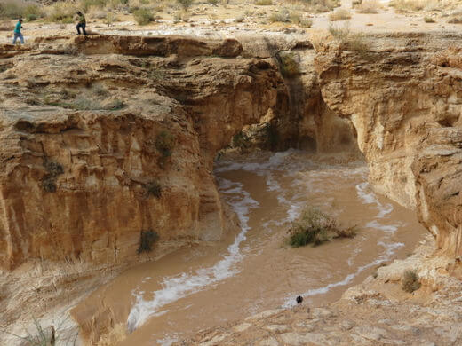 עין ירקעם